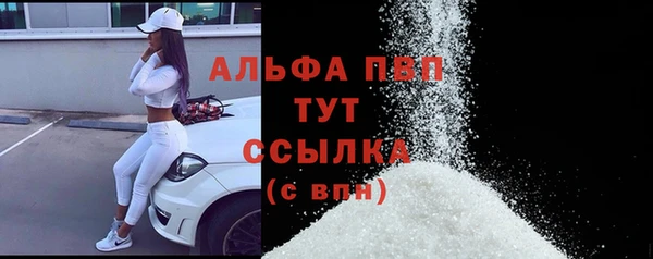 сатива Абинск