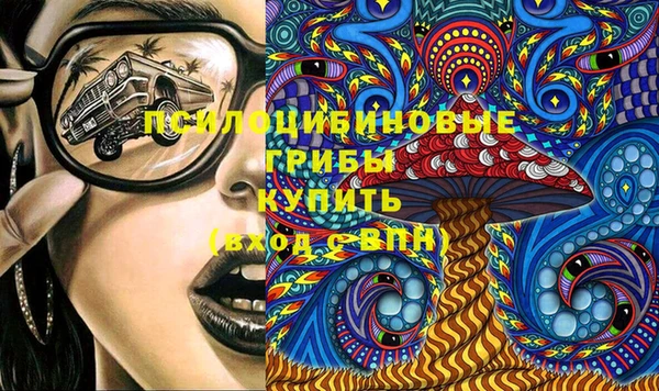 сатива Абинск