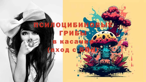 сатива Абинск